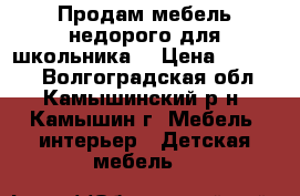 Продам мебель недорого для школьника  › Цена ­ 10 000 - Волгоградская обл., Камышинский р-н, Камышин г. Мебель, интерьер » Детская мебель   